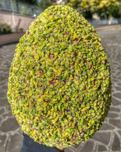 Carica l&#39;immagine nel visualizzatore di Gallery, Uovo #FoodPorn Pistacchioso da 900 g (800g e all interno 100g di Praline Glassate Al Pistacchio)

