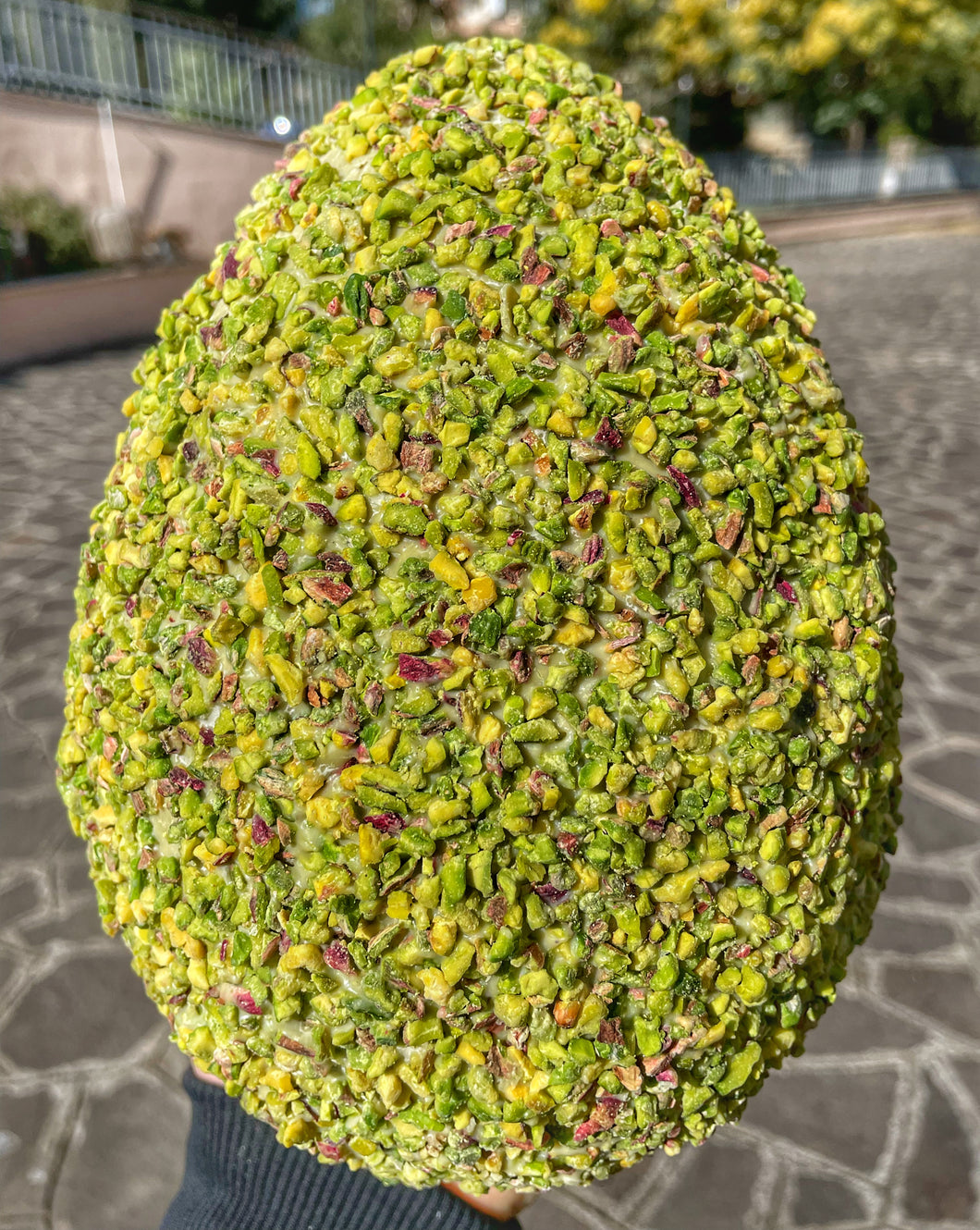 Uovo #FoodPorn Pistacchioso da 900 g (800g e all interno 100g di Praline Glassate Al Pistacchio)